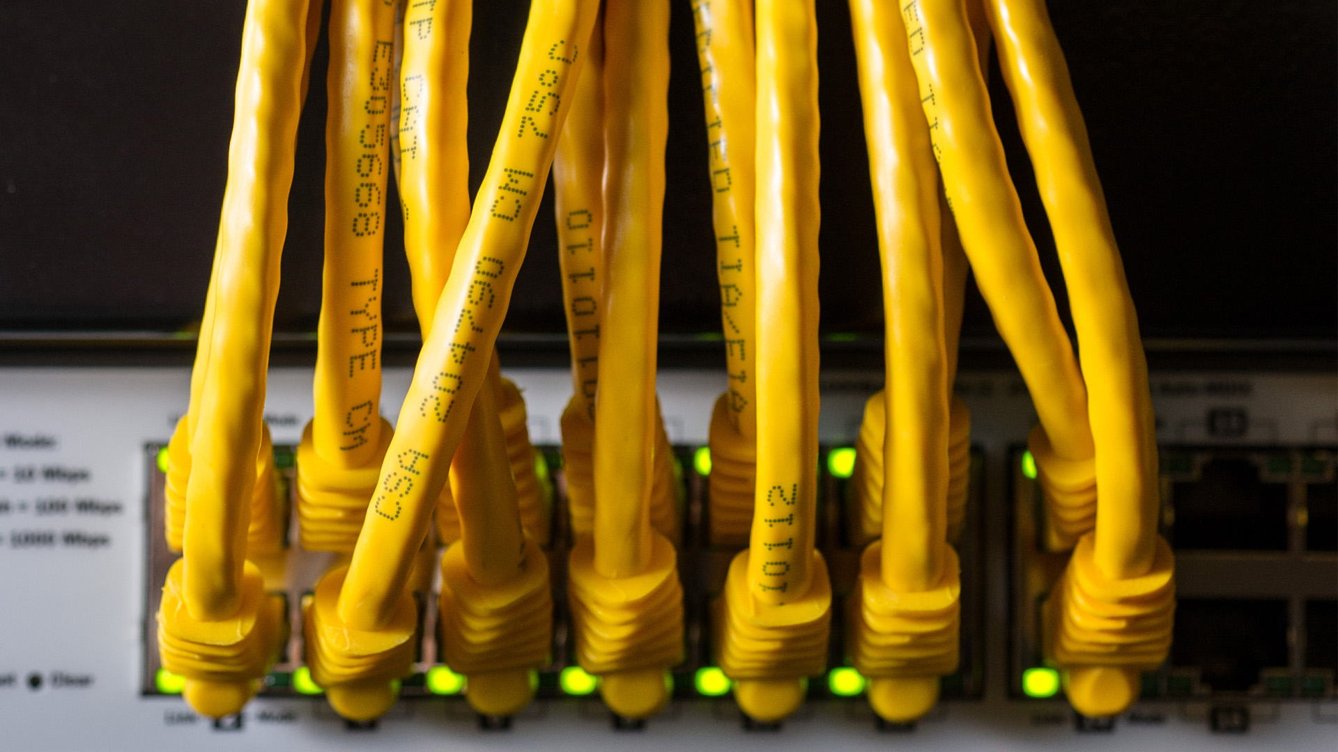 Network cables.