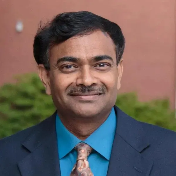 Professor Srinivas Peeta